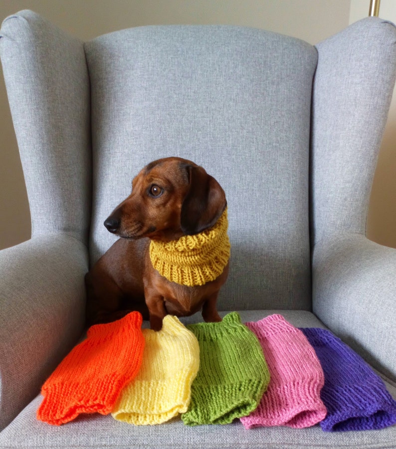 Dachshund or Small Dog Snood / Cowl / Hat image 1