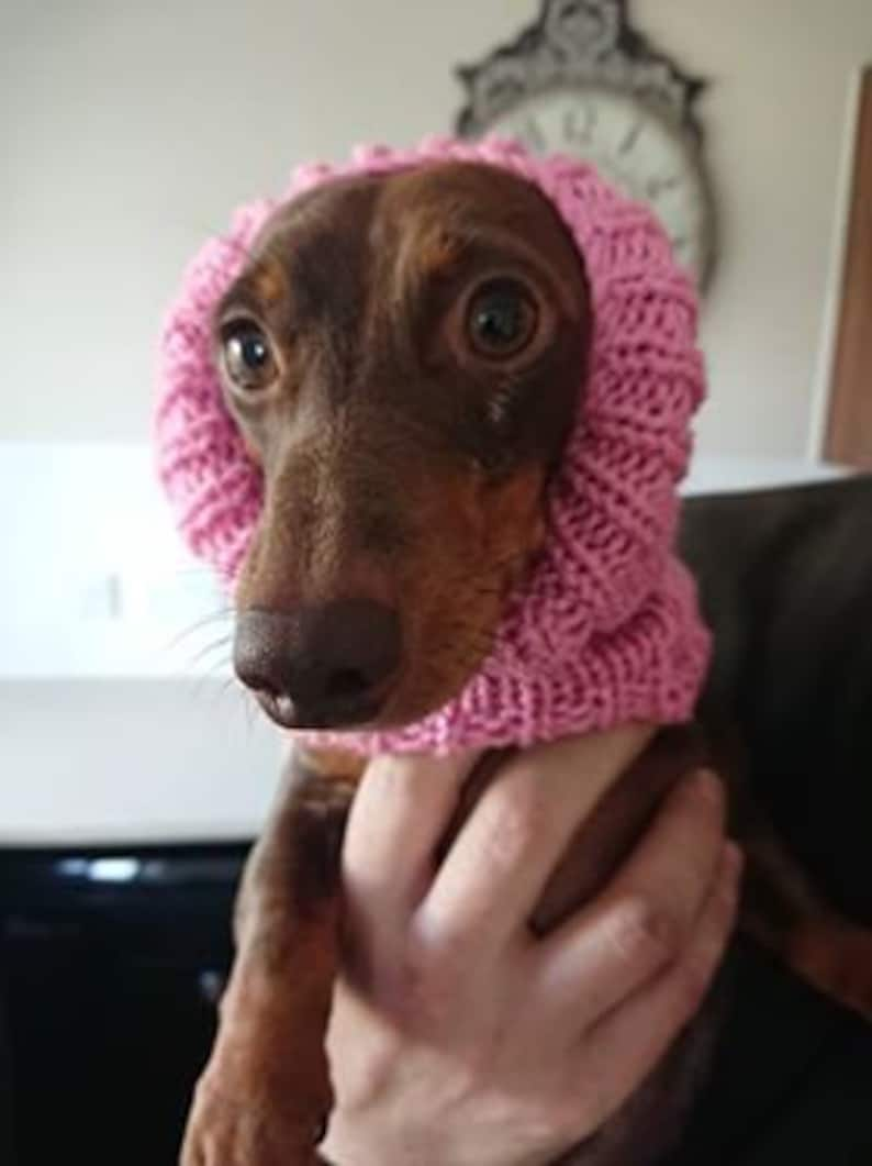 Dachshund or Small Dog Snood / Cowl / Hat image 4