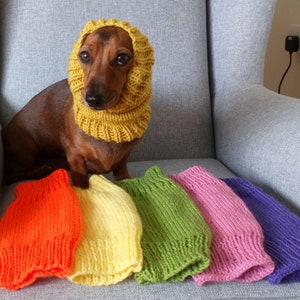 Dachshund or Small Dog Snood / Cowl / Hat image 2