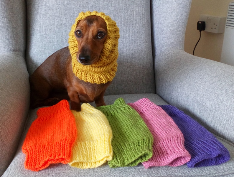 Dachshund or Small Dog Snood / Cowl / Hat image 2