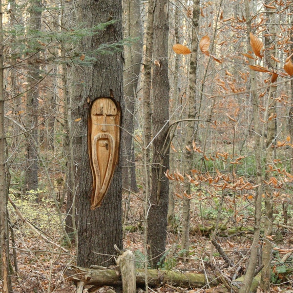 Bearded Man Tree - Mount Vernon, Maine