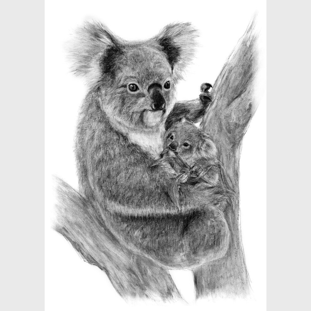Australian Koala With Baby Koala Art Print Wall Art Nursery Etsy
