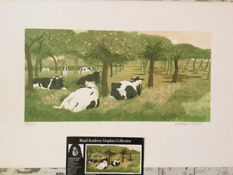 Rare Carolyn Trant lithograph print cows in orchard 1983 limited edition of 200 Royal Academy