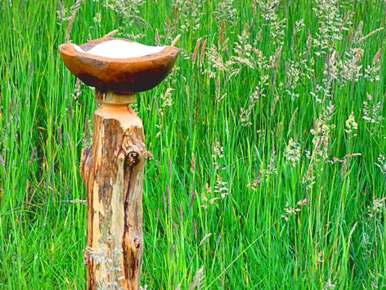 Pearl Shell inlay Garden Zen Garden Gift Water Fountain Teak Wood Bird Bath with stand