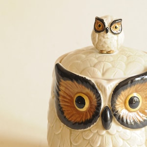 Peut inclure: Pot en céramique crème en forme de hibou avec un couvercle et une petite figurine de hibou sur le dessus. Le hibou a de grands yeux détaillés avec des accents marron et noirs. La surface du pot a un motif texturé en forme de plumes.