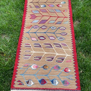 May include: A long, rectangular rug with a brown background and a colorful geometric pattern. The pattern features stylized leaves and flowers in shades of red, blue, green, and yellow. The rug has a red border and white fringe.