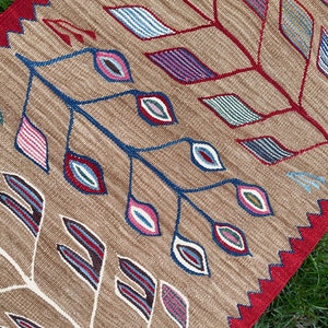 May include: A brown and red patterned rug with a geometric design featuring stylized leaves and eyes. The rug has a fringed edge.