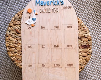 Custom "One Silly Year" Baby Milestone Photo Board | Monthly Picture Keepsake | Personalized First Year Display | Goose Birthday Sign