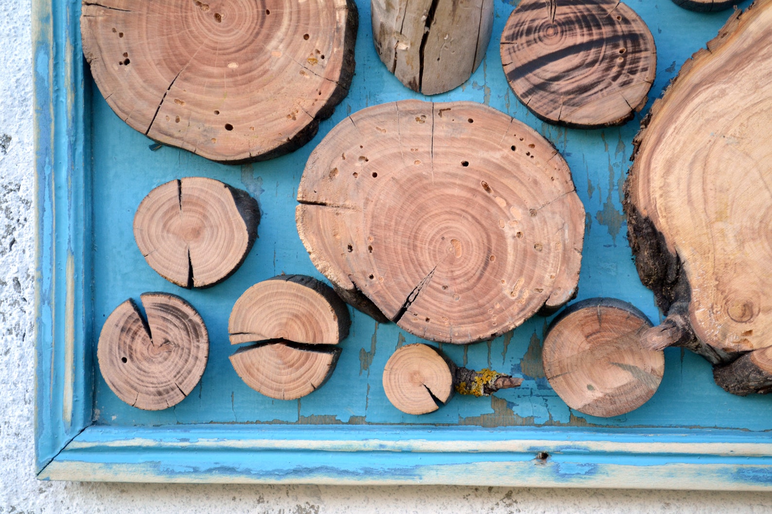 Wood slice art tree slice art wood slice wall art tree ring Etsy