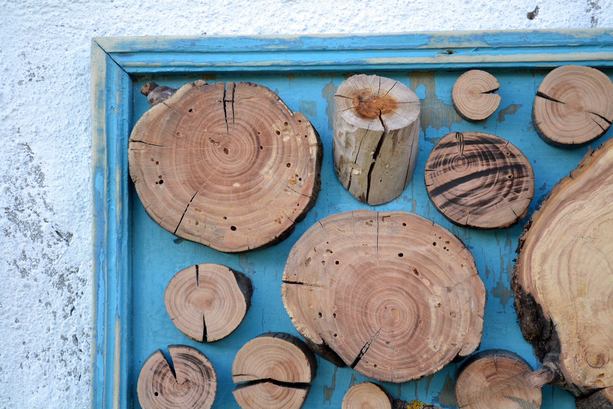 Wood slice art tree slice art wood slice wall art tree ring Etsy