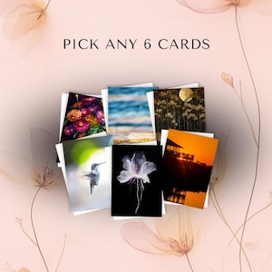 Choose Any 6 Cards | Create Your Own Greeting Card Bundle, Mix & Match Stationery