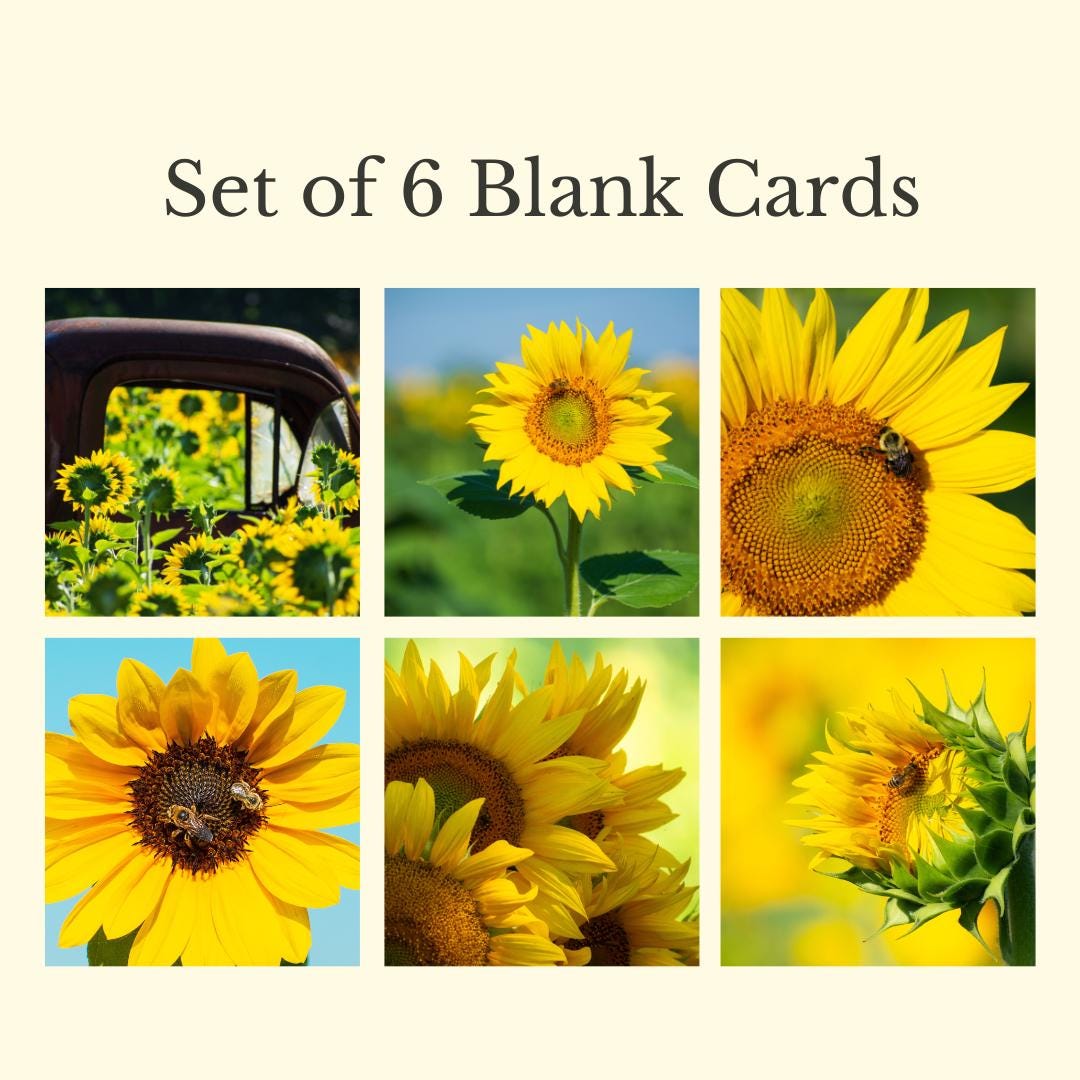 Sunflower Card Set | 6 Summer Flower Photo Cards, Blank 5x7 Botanical ...