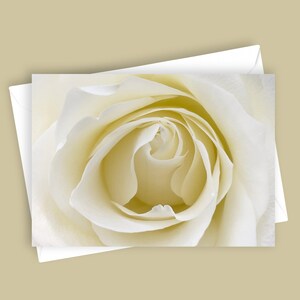 Macro de roses blanches | Carte de voeux vierge 5 x 7, Papeterie florale élégante, Photographie de nature, Idée cadeau unique, Art botanique, Occasion spéciale