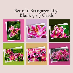 6 Cartões Stargazer Lily | Conjunto de Cartões de Saudação 5x7 em Branco, Cartões de Notas Florais, Papelaria Botânica, Pacote de Cartões com Lírio Rosa, Cartões Elegantes com Flores