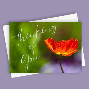 Je pense à vous Poppy | Carte de voeux vierge 5 x 7, papeterie florale, carte de sympathie, carte d'encouragement, carte d'amitié, carte de fleur de pavot