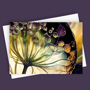 Alliummacro #1 | Blanco 5 x 7-wenskaart, botanisch briefpapier, unieke bloemsierkunst, op de natuur geïnspireerde kaart, alliumbloem, blanco binnenkant