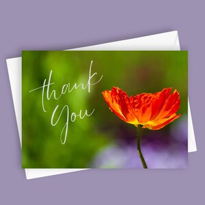 Obrigado Poppy | Cartão de felicitações Floral | Cartão de papoula | Cartão de felicitações em branco 5 x 7 | Cartão floral para ela | Cartão floral para presente | Cartão da natureza