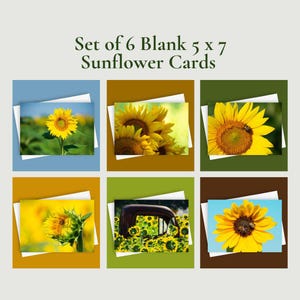 6 Sunflower Cards | Blank 5x7 Greeting Card Set, Floral Stationery, Rustic Note Cards, Yellow Flower Cards, Sunflower Photo Pack