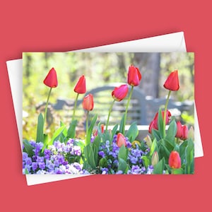 Frühlingsgarten | 5x7 leere Grußkarte, Blumenbriefpapier, lebendiges Tulpendesign, Naturkarte, All-Occasion-Karte, Gartenszene, botanische