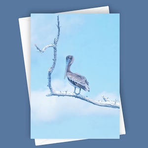 Pelican's Perch / Biglietto d'auguri vuoto 5x7, cancelleria per amanti degli uccelli, biglietto per fotografia naturalistica, arte della fauna selvatica, biglietto per uccelli unico, tema costiero