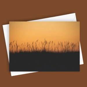 Sea Oats at Sunrise | Blank 5x7 Greeting Card, Coastal Stationery, Beach Sunrise Card, Nature Photography Card, Ocean View Card, Sunrise Art