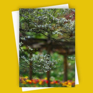 Bem-vinda à Primavera | Cartão com Flor de Cornus, Papelaria em Branco 5x7, Saudação para Jardim de Tulipas, Cartão Floral de Primavera, Cartão Sazonal para Ela