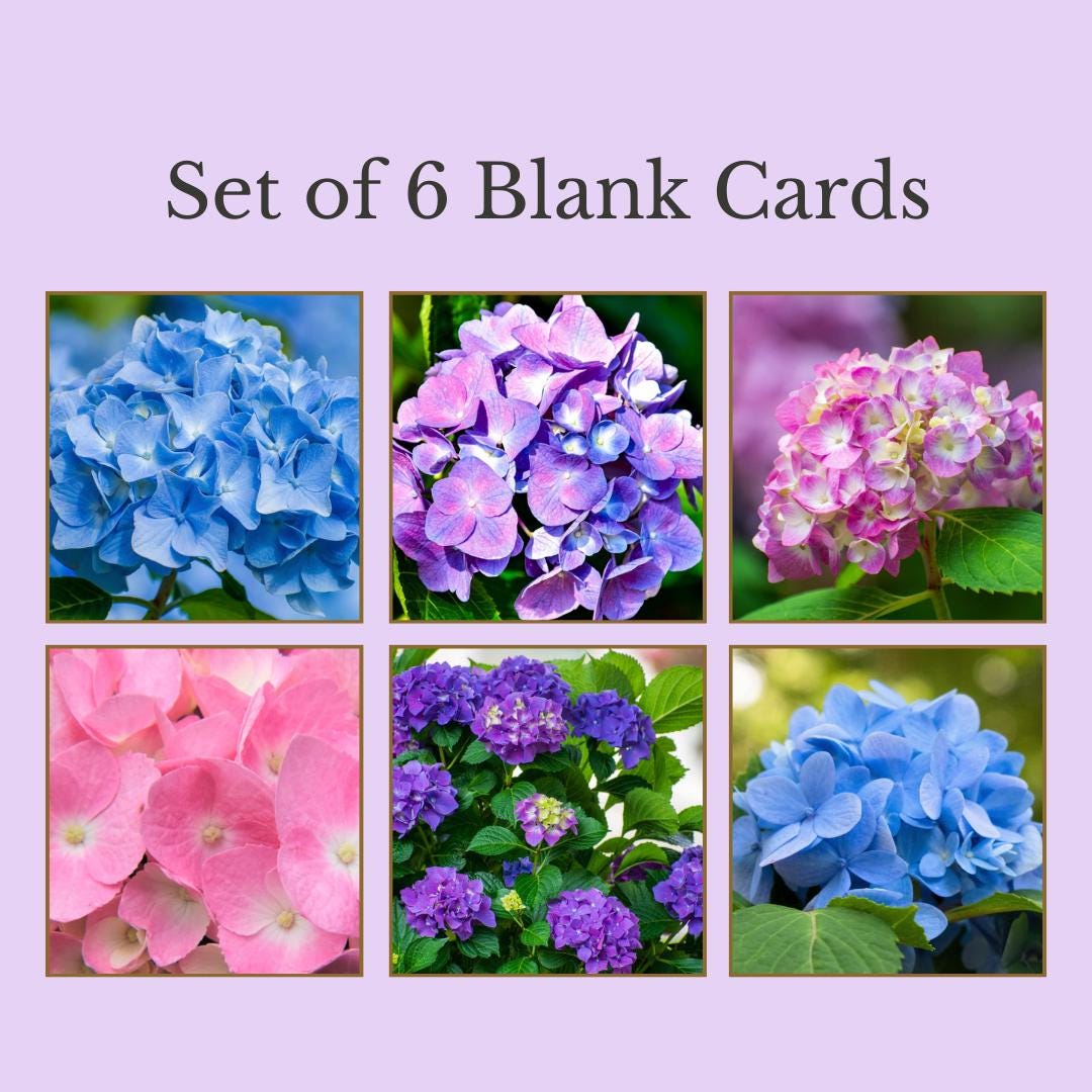 Hydrangea Card Set | 6 Floral Cards, Blank 5x7 Nature Photo Stationery ...