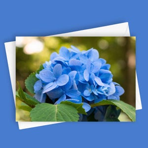 Hortensie | 15 x 20 cm Grußkarte, Blaue Blumenkarte, Briefpapier, Naturinspiriert, Botanische Kunst, All-Occasion Karte, Hortensie Foto