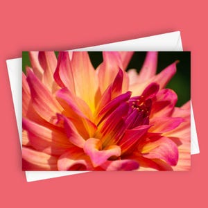 Dahlia Drama #2 | Cartão de felicitações 5x7 em branco, papelaria floral, cartão de flores de dália, arte de flores vibrantes, cartão de felicitações exclusivo, cartão botânico