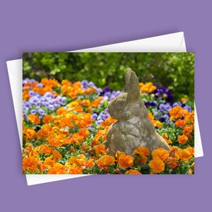Osterhase | 13x18, Grußkarte, Oster Karte, Frühlings Feiertags Karte, Hase Foto, festliche Grußkarte, Stiefmütterchen Karte