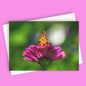 Tarjeta de felicitación &quot;Alight/Mariposa sobre Zinnia&quot;, 5x7, papelería natural en blanco con fotografía de jardín de verano