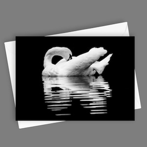 Zwaan | Elegante lege wenskaart, 5 x 7 briefpapier, zwart-witfotografie, natuurliefhebber cadeau, Wildlife Art Card, unieke vogelkaart