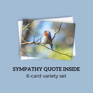 Jeu de cartes de sympathie | 5 x 7 cartes de voeux vierges, cartes de sympathie d'oiseau, paquet de cartes de condoléances, paquet de variétés, jeu de cartes, papeterie de sympathie, lot