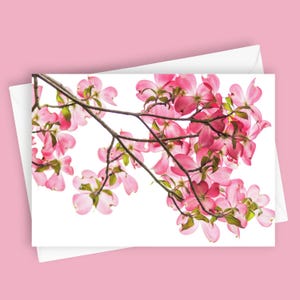Rosa Hartriegel | Leere Grußkarte, 13x18 Briefpapier, Floral Note Karte, Frühlingsfoto, Natur Kunstwerk, Botanische Karte, Blumenkarte, Frühlingskarte