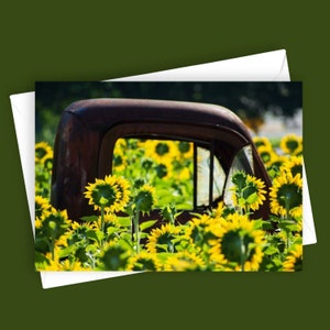 Ensoleillé | Carte de voeux vierge 5 x 7 tournesol, carte camion rustique, papeterie florale, photographie de la nature, carte unique, toutes les occasions, fleurs