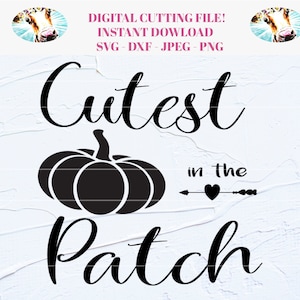 Cutest pumpkin in the patch Halloween SVG, DXF cut file for Cricut or Silhouette. Pumpkin svg, First halloween svg, onsie svg, cute baby svg