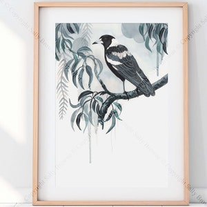 Australian Magpie and eucalyptus watercolour print by Sydney botanical artist Sally Browne.