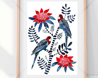 Crimson Rosellas Vibrant fine art print by Australian botanical artist Sally Browne. Signed and editioned.