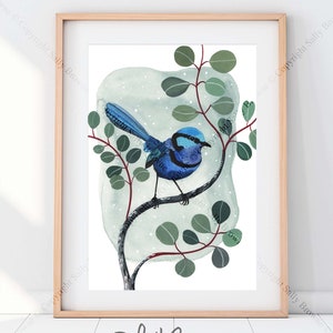 Splendid Fairywren and Eucalyptus watercolour print by Australian artist Sally Browne. Signed, numbered with a certificate.