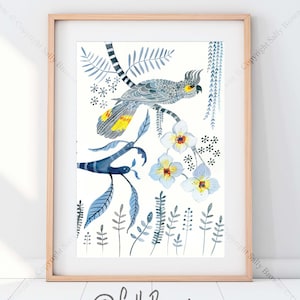 Cockatoo Cockatiel Parrot watercolour botanical print by Australian artist Sally Browne.  Signed and numbered with a certificate.
