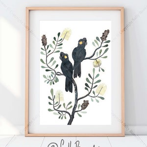 Black Cockatoos and Coastal Banksia Watercolour Fine Art print by Australian artist Sally Browne. Signed, numbered with a certificate.