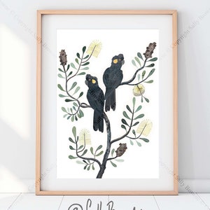 Black Cockatoos and Coastal Banksia Watercolour Fine Art print by Australian artist Sally Browne. Signed and Editioned.