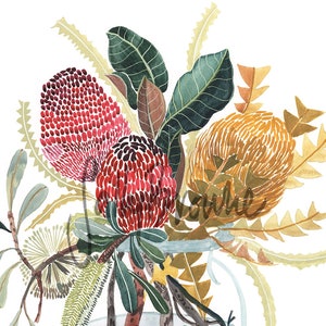 Australian Botanical Wall Art – Banksia & Magnolia Watercolour Print, Signed Limited Edition