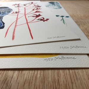 May include: Three signed art prints stacked on top of each other. The top print features a blue bird with red flowers. The middle print has the number "23/50" and the bottom print has the number "10/50". All prints are signed "Sally Browne".
