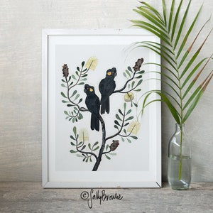 May include: A framed print of two black cockatoos perched on a branch of a tree with yellow flowers. The print is on a white background and has a white frame. The artist's signature is in the bottom right corner.