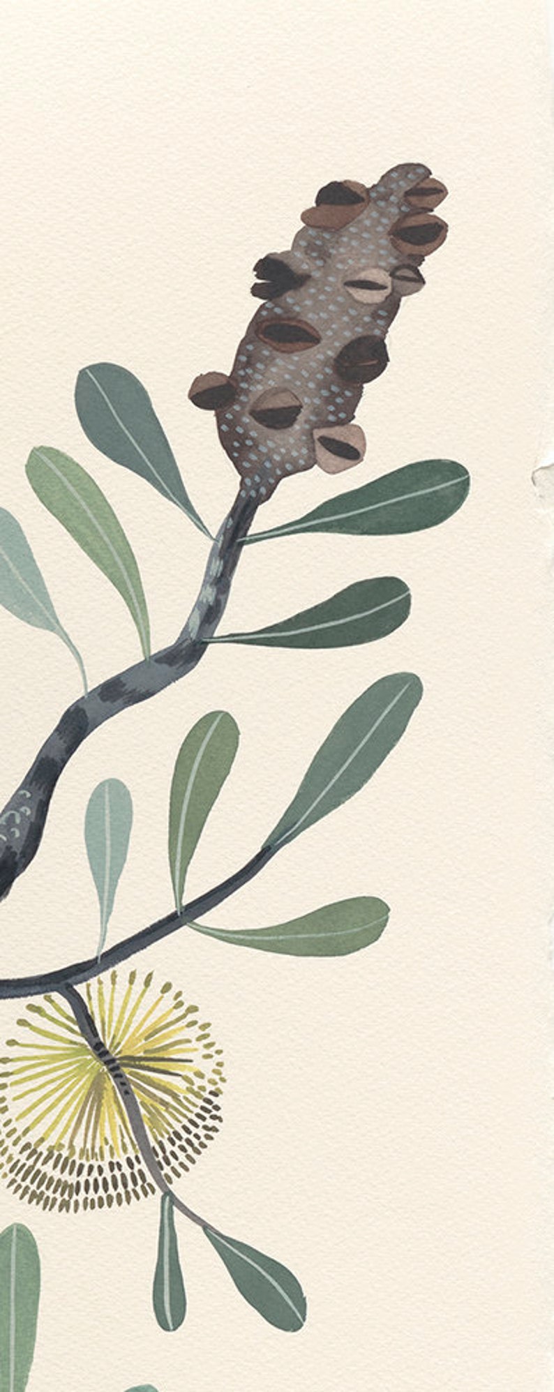 May include: A watercolor painting of a branch with green leaves and two flowers. One flower is brown and has a textured surface. The other flower is yellow and has a fuzzy texture.