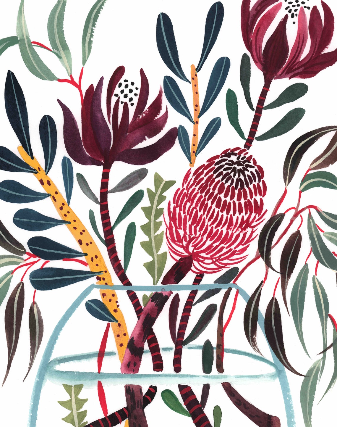 Australian Native flower watercolour art print Banksia Etsy