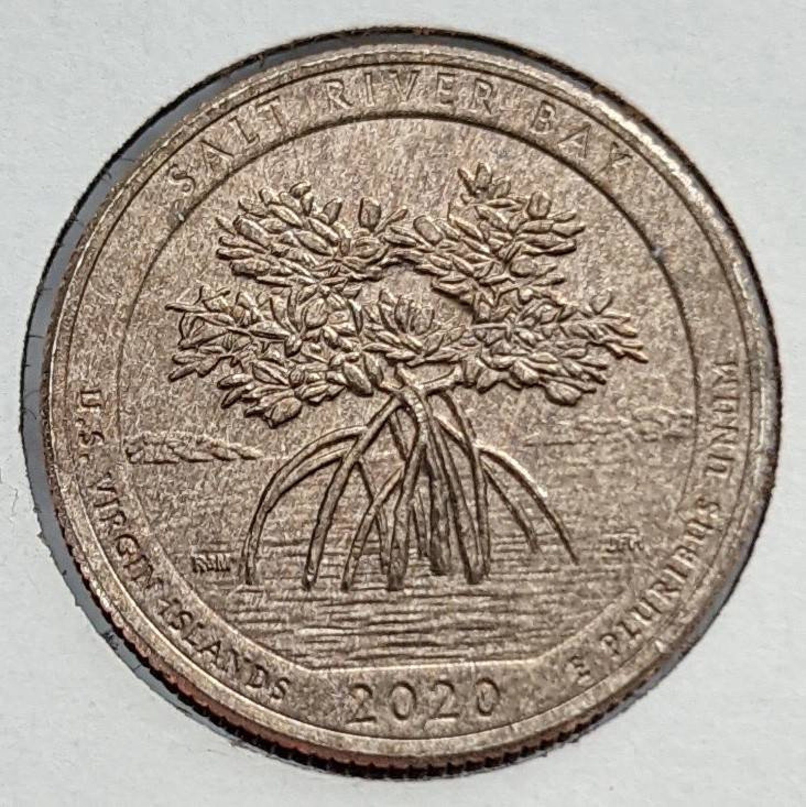 2020 D Salt River Bay Quarter / MS Uncirculated Lamination Etsy