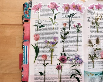 Peony Pink Journaling-stickerpakket (20ct)