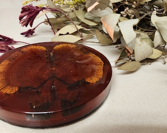 Sheoak slice in amber resin table centrepiece or coaster